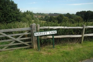 Marley Lane